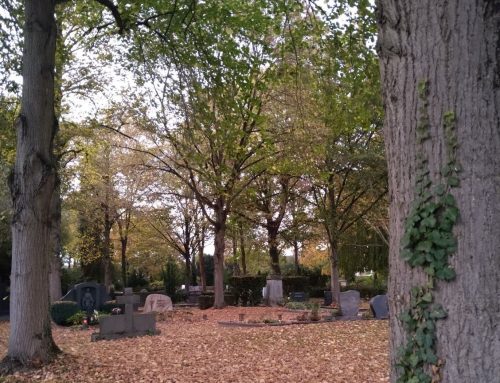 Umgang mit dem neuen Bestattungsgesetz in Rheinland-Pfalz